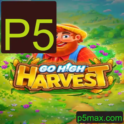 A Jornada Inovadora de GoHighHarvest no Contexto Atual